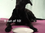 Italian Lesbian Filtered VIDEO of Bitch Swallowing IT ALL 8/16