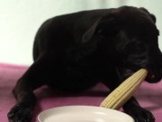 Italian Lesbian Filtered VIDEO of Bitch Swallowing IT ALL 9/16