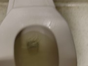 POV Girl w/ hairy Pussy Makes A Mess At The Public Toilet 9/16