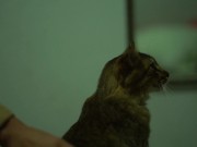 Allison Parker  of Amber's being Grabbed 11/16