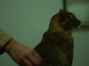 Allison Parker  of Amber's being Grabbed 13/16