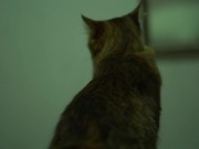 Allison Parker  of Amber's being Grabbed 15/16