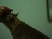 Allison Parker  of Amber's being Grabbed 16/16