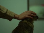 Allison Parker  of Amber's being Grabbed 7/16