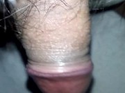 See my Very hairy and a drop of pre cum muy de cerca mi peluda verga