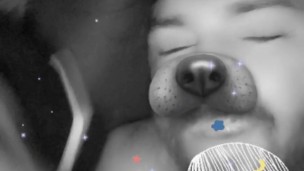 Sc Puppy Kyle Butler Dreaming