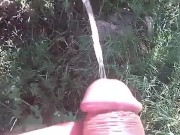 Outdoor pissing - Screenshot 10 of 16 - Pee