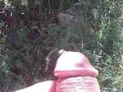 Outdoor pissing - Screenshot 14 of 16 - Penis