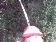 Outdoor pissing - Screenshot 5 of 16 - Pee