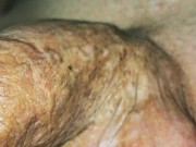 big cock erection super close up