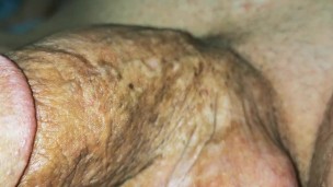 big cock erection super close up