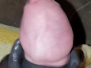 Nobra Twincharger big cock massage and handsfree cum, lets shake it ;)