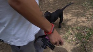 VIDEO DE ESTER DISFRUTA VER PERRA EN EL PARQUE