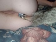 Purrs - Screenshot 13 of 16 - Fox