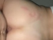 DoggyStyle Pound 15/16