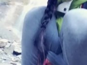 My Piss By The Waterfall 10/16