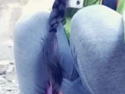 My Piss By The Waterfall 11/16