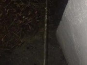 quick pee pee - Screenshot 1 of 16 - HD