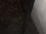 quick pee pee - Screenshot 11 of 16 - Black Dick