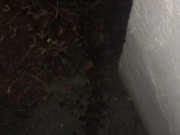 quick pee pee - Screenshot 16 of 16 - Quick Pee