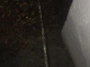 quick pee pee - Screenshot 5 of 16 - HD