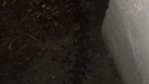 quick pee pee