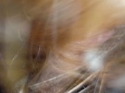 Thai อมสดโคตรเสียว ขย่มอย่างมัน(เสียงไทย) 3/16