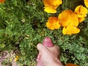Stop to smell the flowers