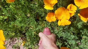 Stop to smell the flowers