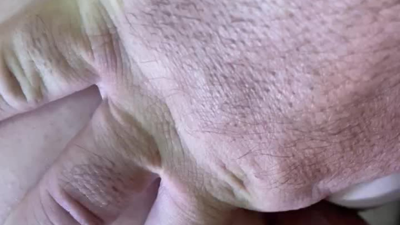 WIFE'S FIRST ANAL, SHE CRYING WHILE I CUM!!!!! - RedTube
