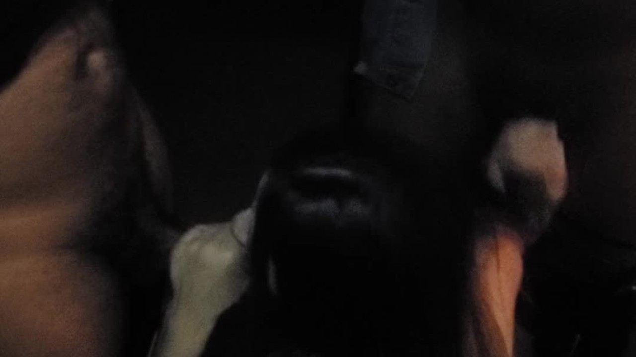 Husband Talks Wife into First BBC Gangbang at Party and He Filmed!!! Onlyfans Lillylopez_sugarpepper - RedTube