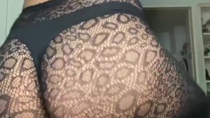 HORNY ASS TRANY
