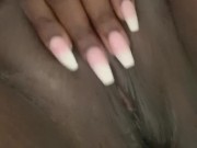 Pussy chronicles 
