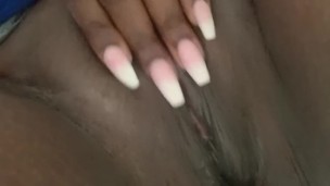 Pussy chronicles 