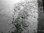 cazzo enorme squirta precum e sborra all'aperto B&W IG:dodgyitalian1991 1/16