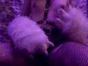 Furry Strip Tease with Vibrator