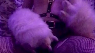 Furry Strip Tease with Vibrator