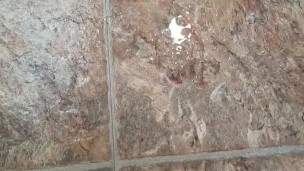 Piss on bathroom floor