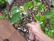 Break in the rain, jerk off nutrient for the Orange