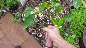 Break in the rain, jerk off nutrient for the Orange