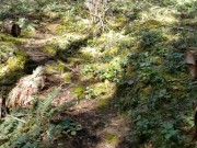 I love to hike...Nude! 10/16