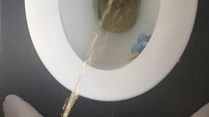 afternoon piss splashing the seat