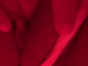 Using my toy to help me cum 