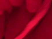 Using my toy to help me cum  8/16