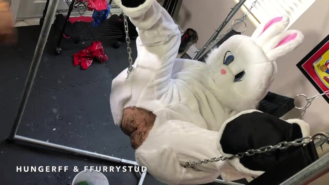 Fisting The Easter Bunny - Video di sesso gratis - RedTube