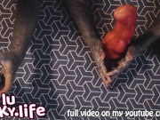 Unboxing our new Hankeys XXL Sex Toys - Lily Lu and Anuskatzz tattoo 7/16