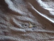 Slowmo-cum [work in progress]