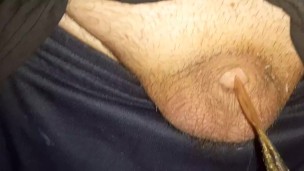 Lil dicklet pissing 