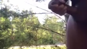 Big Black dick flash roadside
