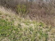 Roadside Piss While Traffic is Passing By 9/16